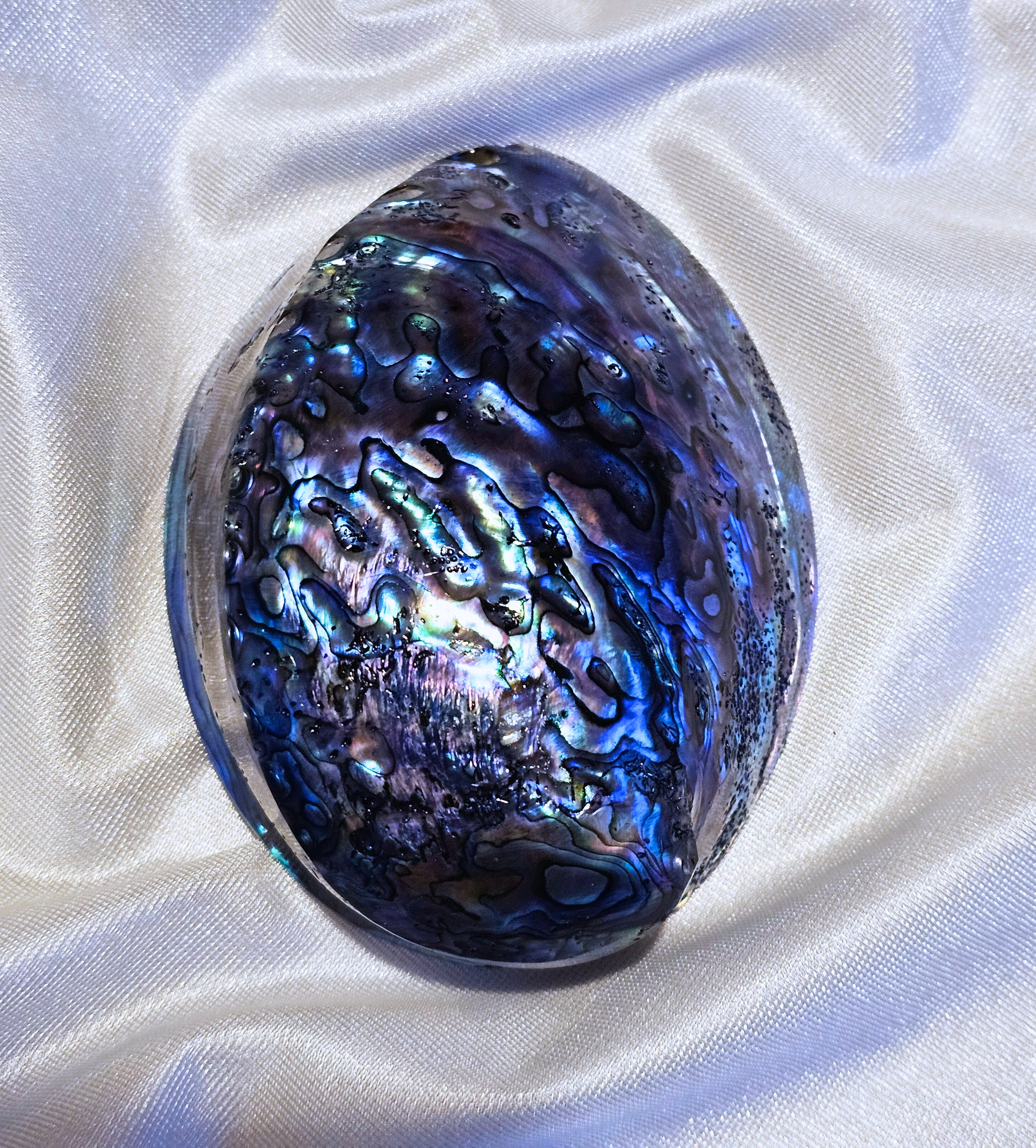 Pāua Shell (Abalone) - Smudging Vessel