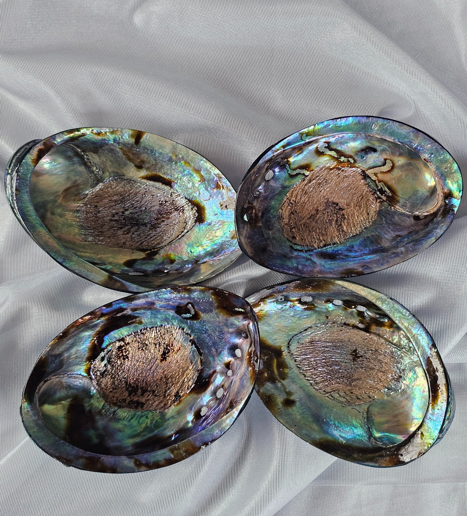 Pāua Shell (Abalone) - Smudging Vessel